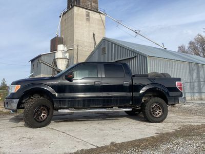 2009 FORD F150 XLT