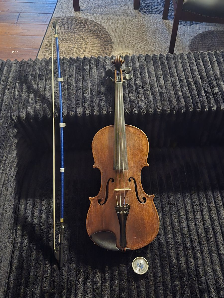 Violin
