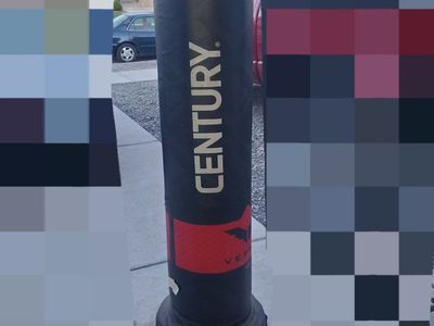 Century Punching Bag