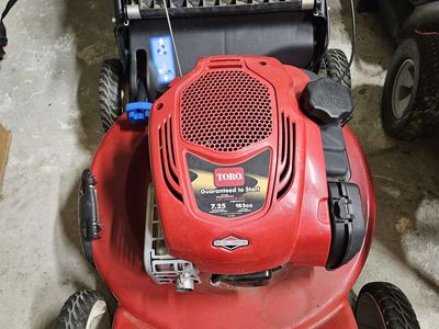 Toro Recycler 22 in. 163 cc Gas Self-Propelled Lawn Mower