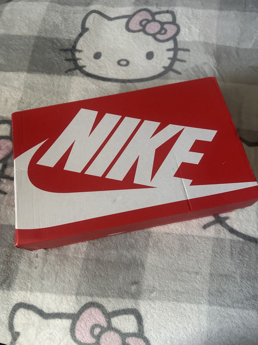 Nike dunks (brown)