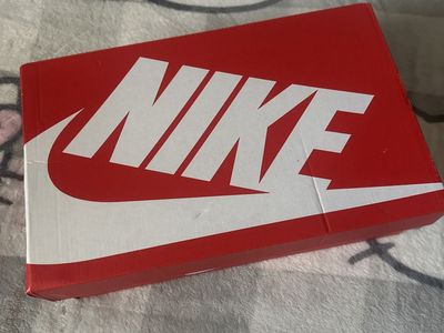 Nike dunks (brown)