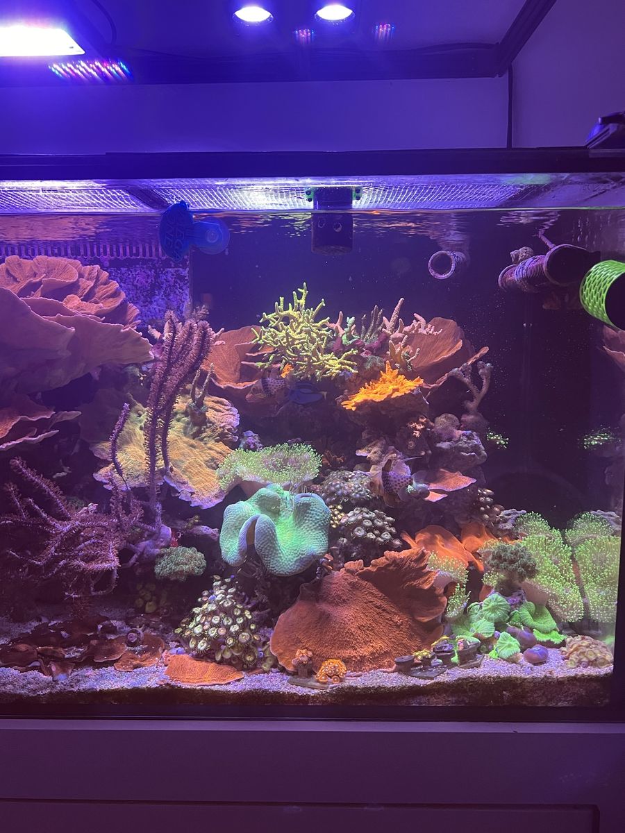 Main image 2