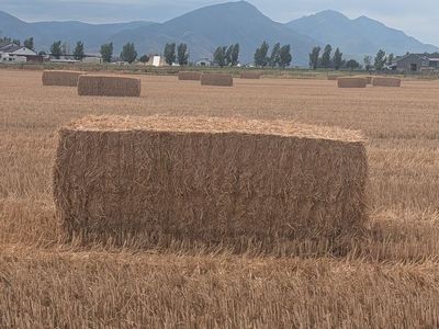 3x3 wheat straw bales
