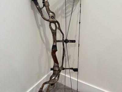 Hoyt carbon spyder zt 34