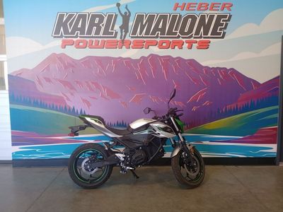 2024 Kawasaki Z E-1 ABS Metallic Bright Silver/Mat