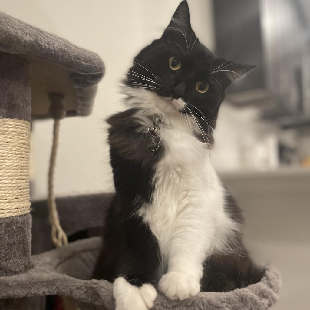 Hello my name is Luna