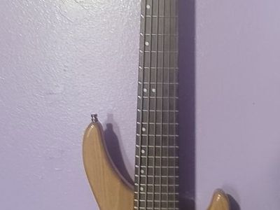 Copley 6 string bass