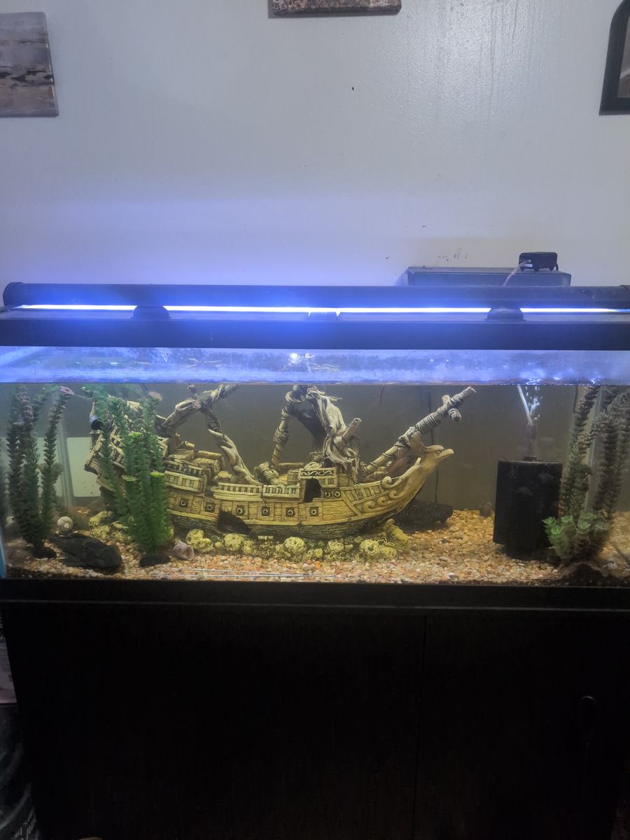 75 gallon fish tank & stand