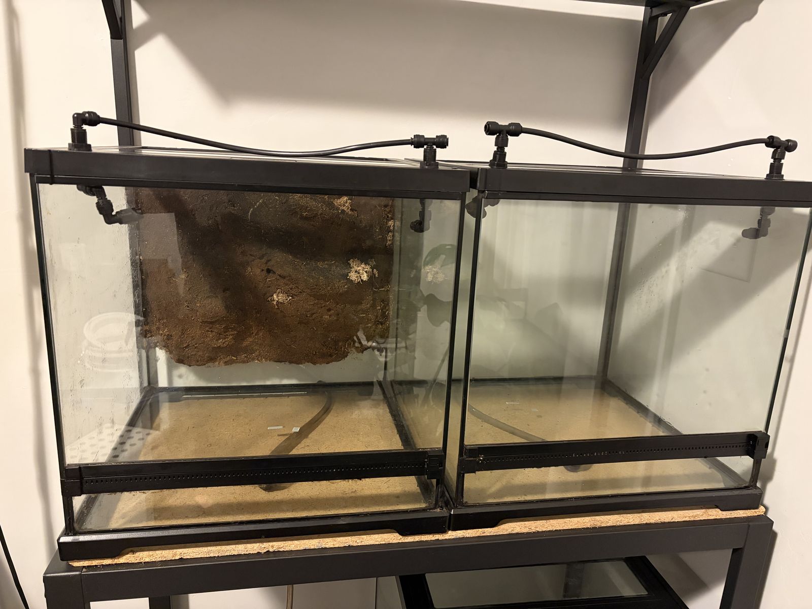 18x18x18 terrariums