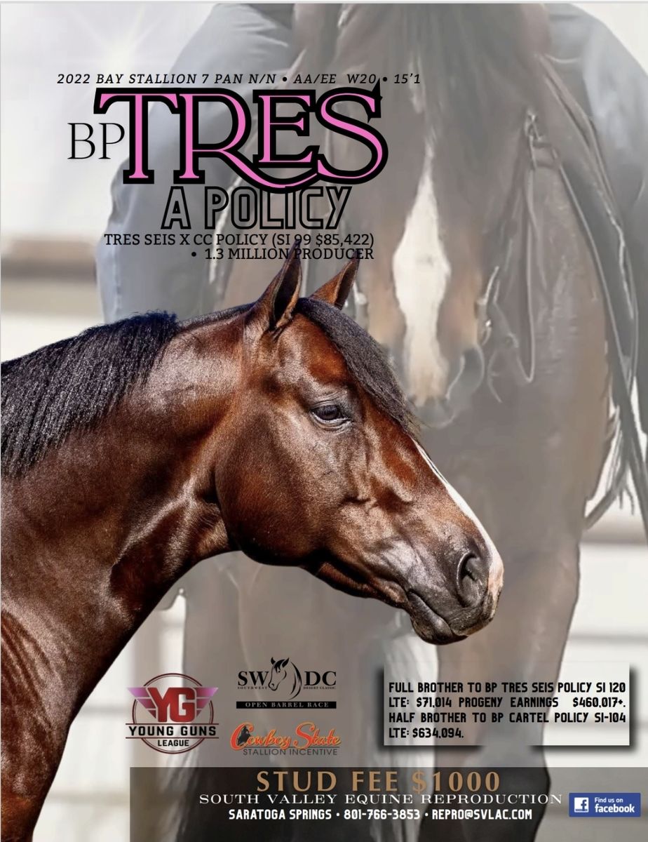 BP Tres A Policy, son of Tres Seis out of $1.3 million dollar producing daughter of Corona Cartel