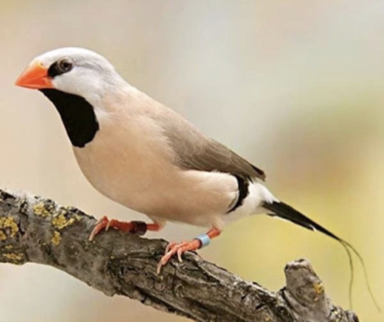 Main image 3