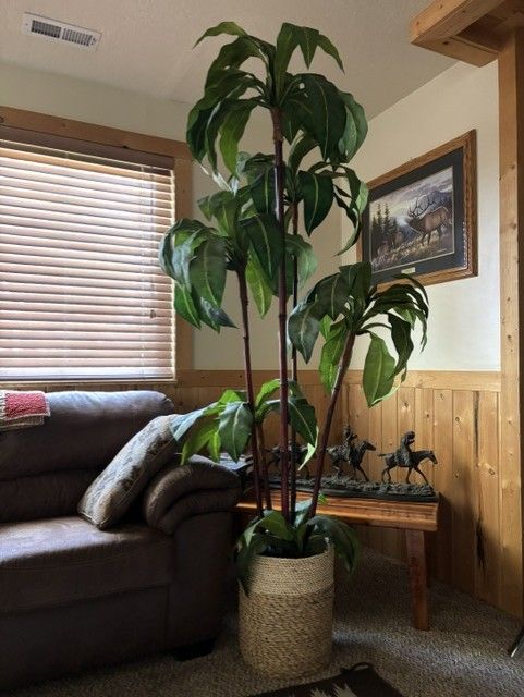 7' Tall, 5 point Bird's Nest Artificial Decorative Plants
