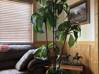 7' Tall, 5 point Bird's Nest Artificial Decorative Plants
