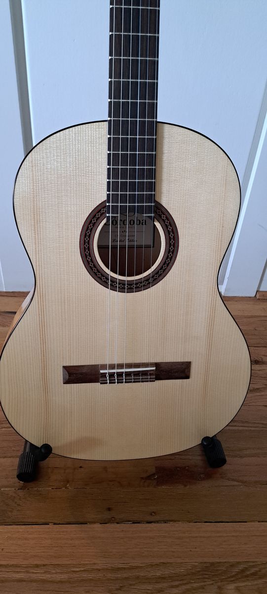 Cordoba C5 Crossover Limited, GORGEOUS! Spalted Maple!