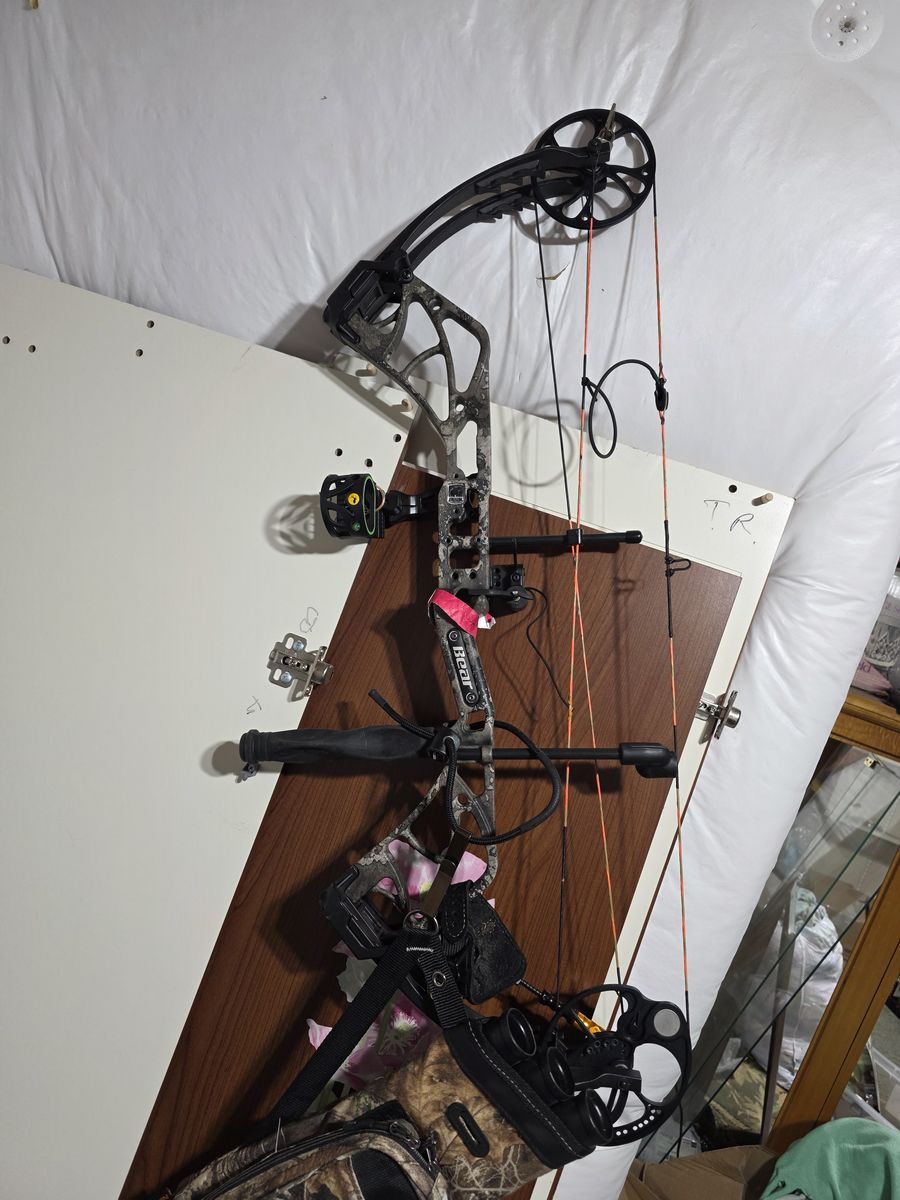 Bear compound bow