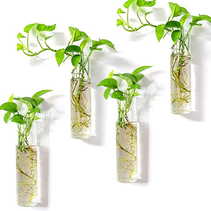 Plant vases 4 pieces