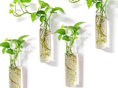 Plant vases 4 pieces