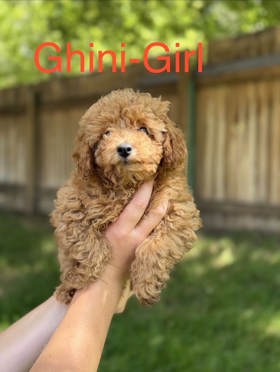 Main image 3