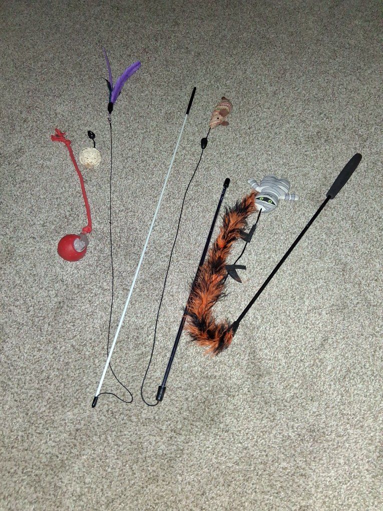 Cat Toys