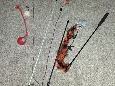Cat Toys