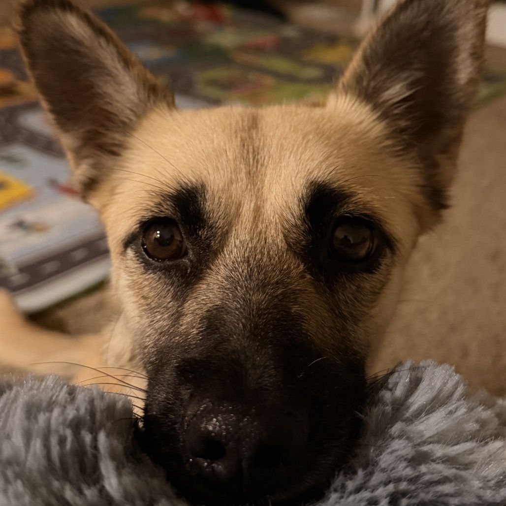 Hello my name is Chloe