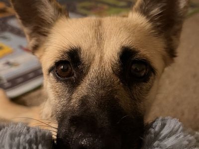 Hello my name is Chloe