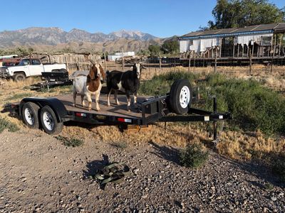 2024 Big Bubba’s 16’ car hauler w/ 5000 winch