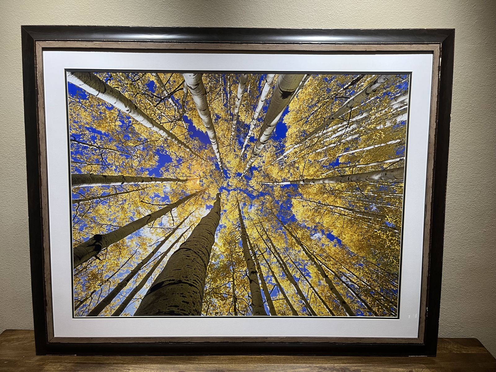 Framed Nature Print - Colorado aspens in the Fall - 40"x30" - Mint condition
