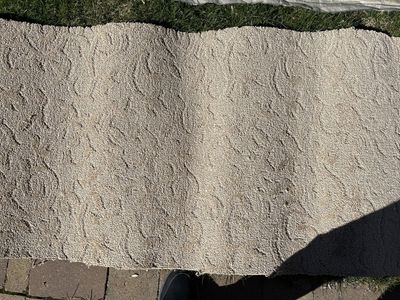 New Free Carpet in Layton, Utah