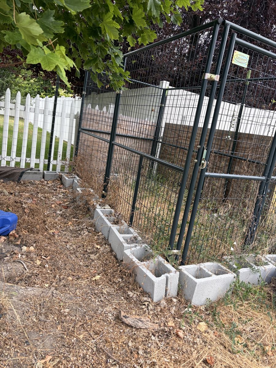 Kennelmaster Outdoor Dog Kennel - Large, Secure Enclosure for Pets