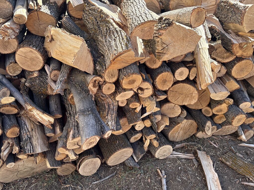 Firewood + Bear Brick