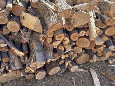 Firewood + Bear Brick