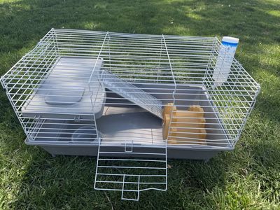 Small animal cage