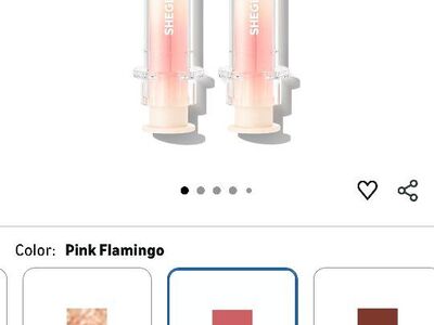 sheglam lip gloss/eye brow pen/angled brush