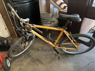 Diamondback Peak DB78 20 Inch 21 Spd Mountain Bike