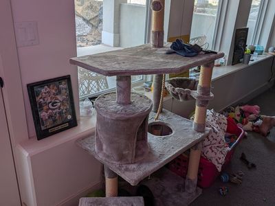 Cat Play House/Tower