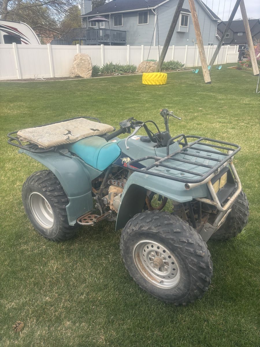 Yamaha Timberwolf 250