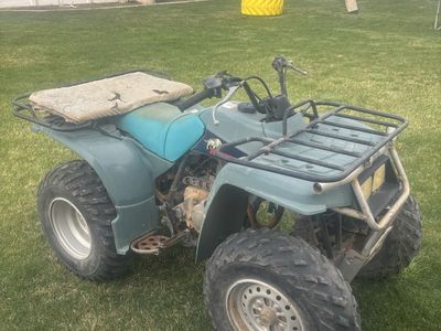 Yamaha Timberwolf 250