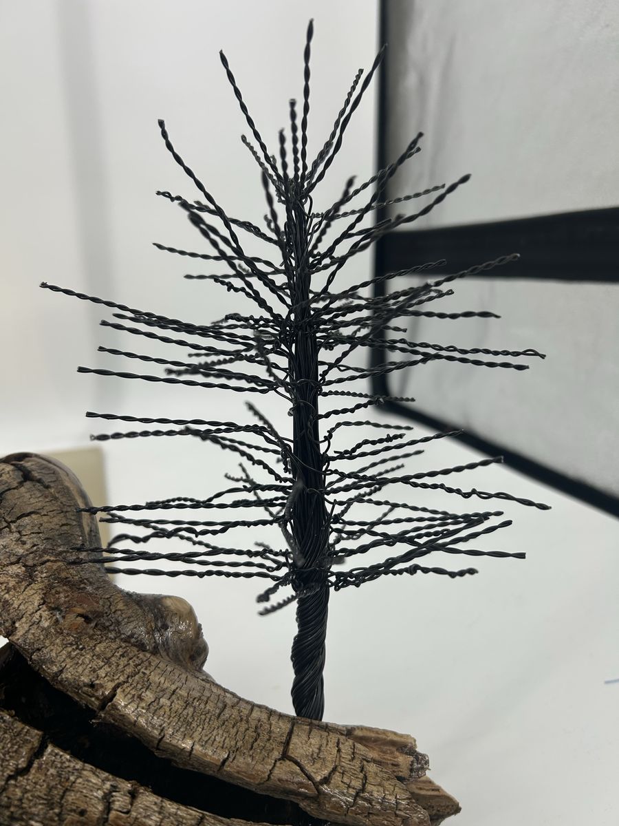 Main image 5