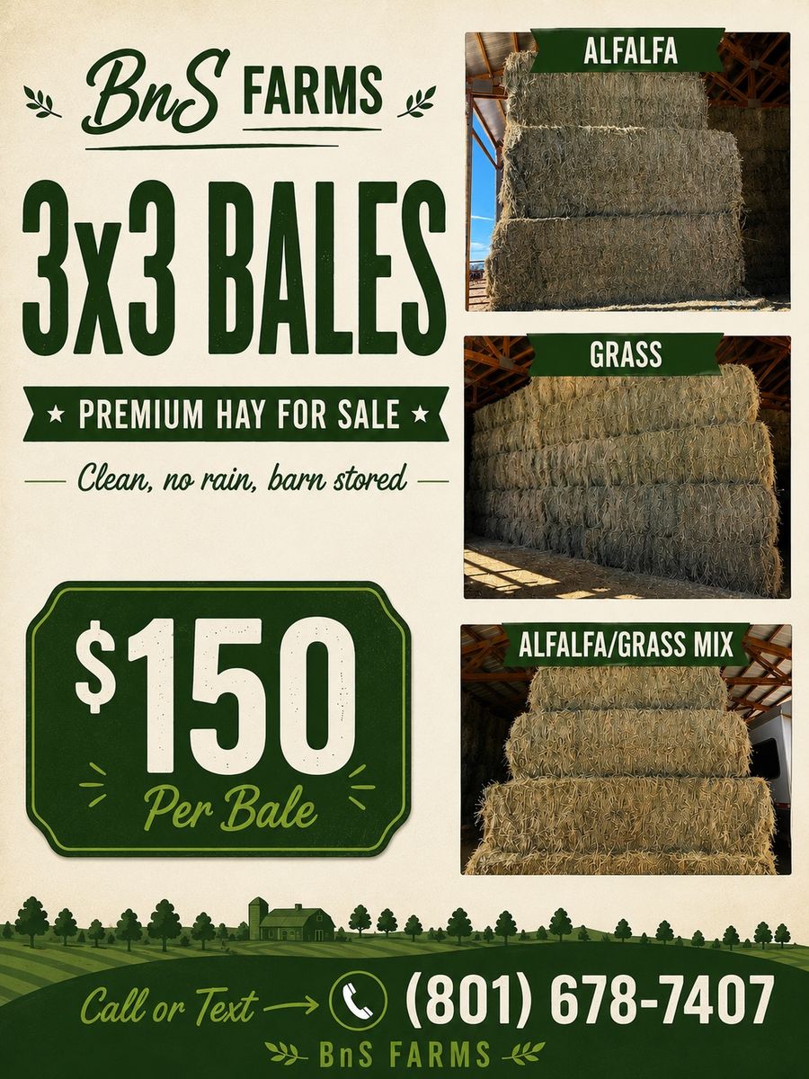 3x3 Bales Premium Alfalfa, Grass, or Alfalfa mix