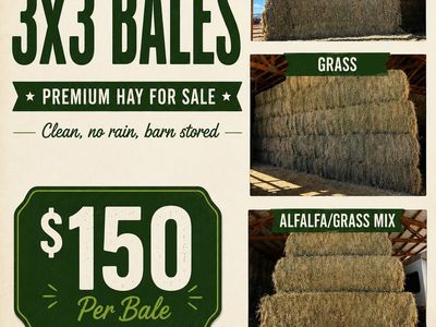 3x3 Bales Premium Alfalfa, Grass, or Alfalfa mix