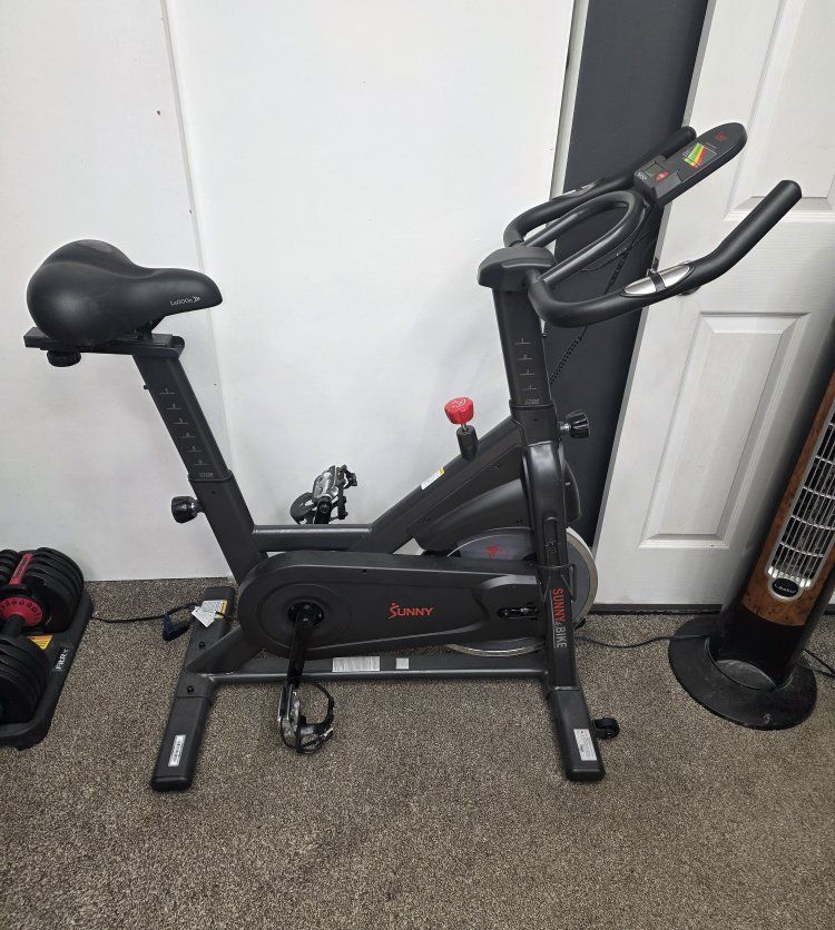 Sunny exercise bike