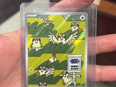 Pidgey Pokemon Basic 60HP Trading Card
