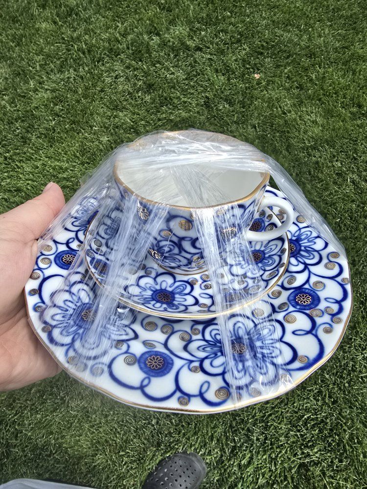 Blue and White Floral Porcelain Tea Cup and Saucer Set with Gold Trim