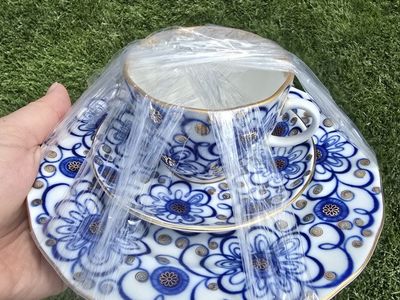 Blue and White Floral Porcelain Tea Cup and Saucer Set with Gold Trim