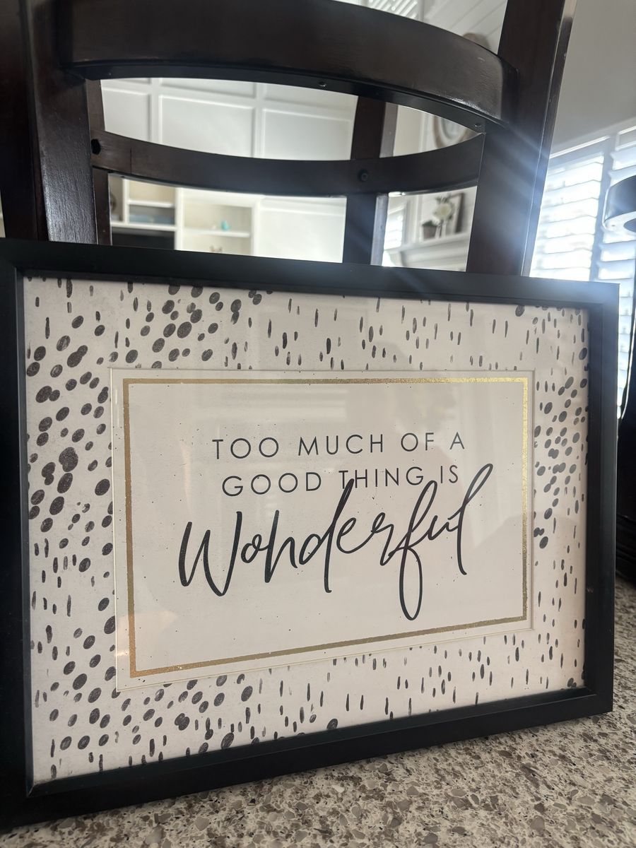 Framed Wall Art Decor "Too Much of a Good Thing is Wonderful" Quote Black Frame