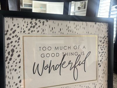 Framed Wall Art Decor "Too Much of a Good Thing is Wonderful" Quote Black Frame