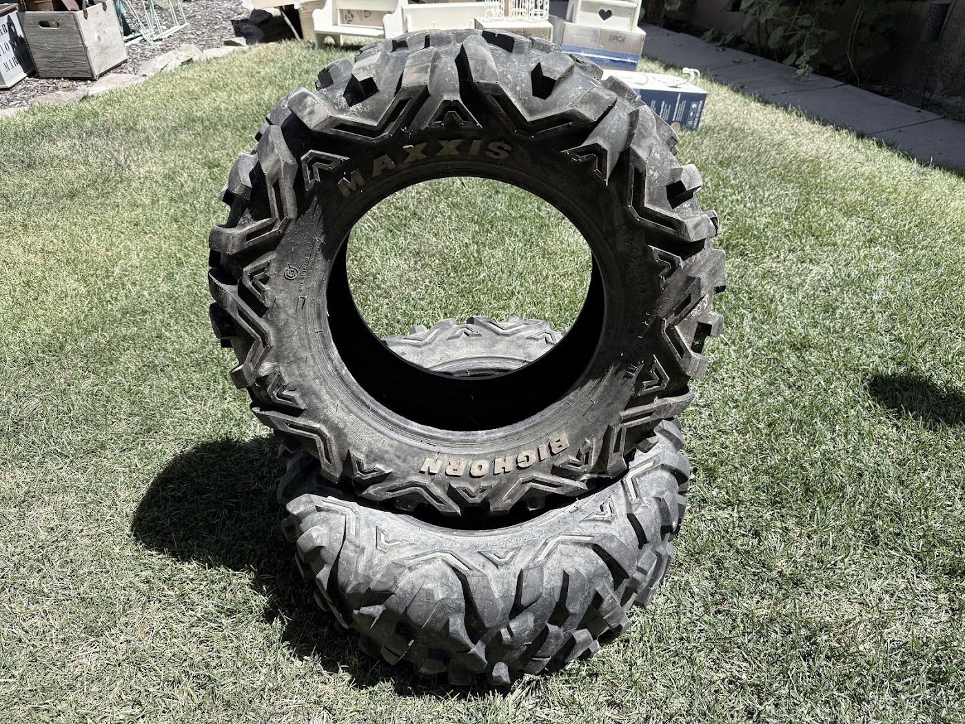 2 Maxxis Bighorn