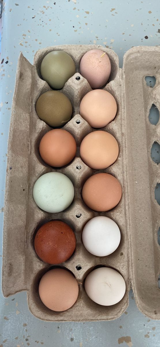 Farm fresh eggs for sale